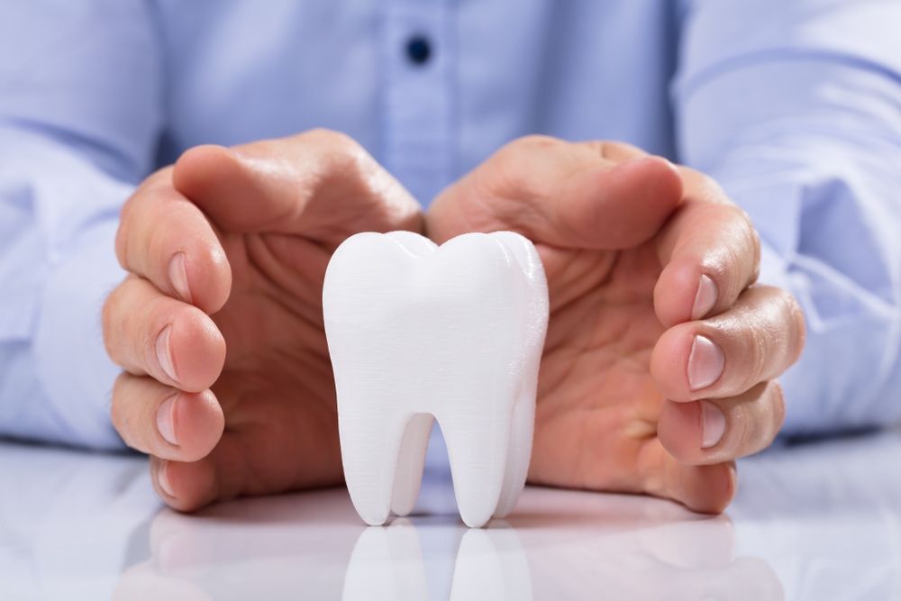 A Person Is Holding A White Tooth In Their Hands — Tweed City Dental in Tweed Heads South, NSW