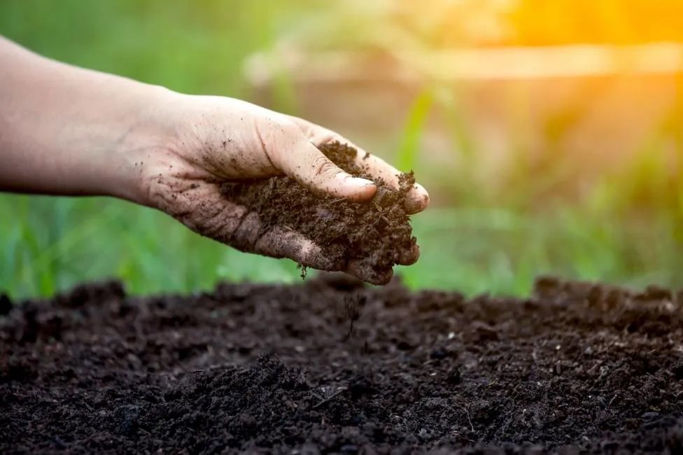 Soil amendment