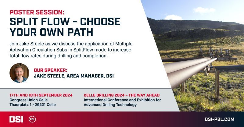 A poster for a poster session titled split flow choose your own path