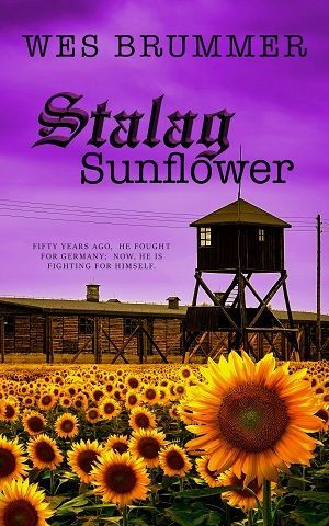Cover of