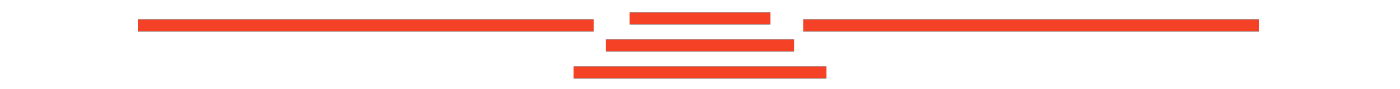 BizBolster branded line as a section divider