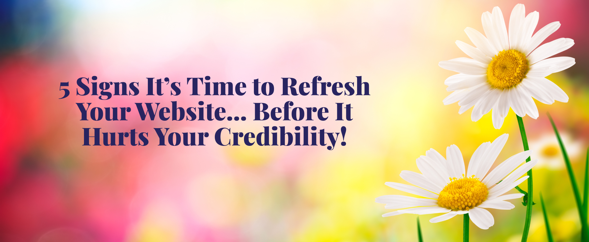 Blog cover image for 