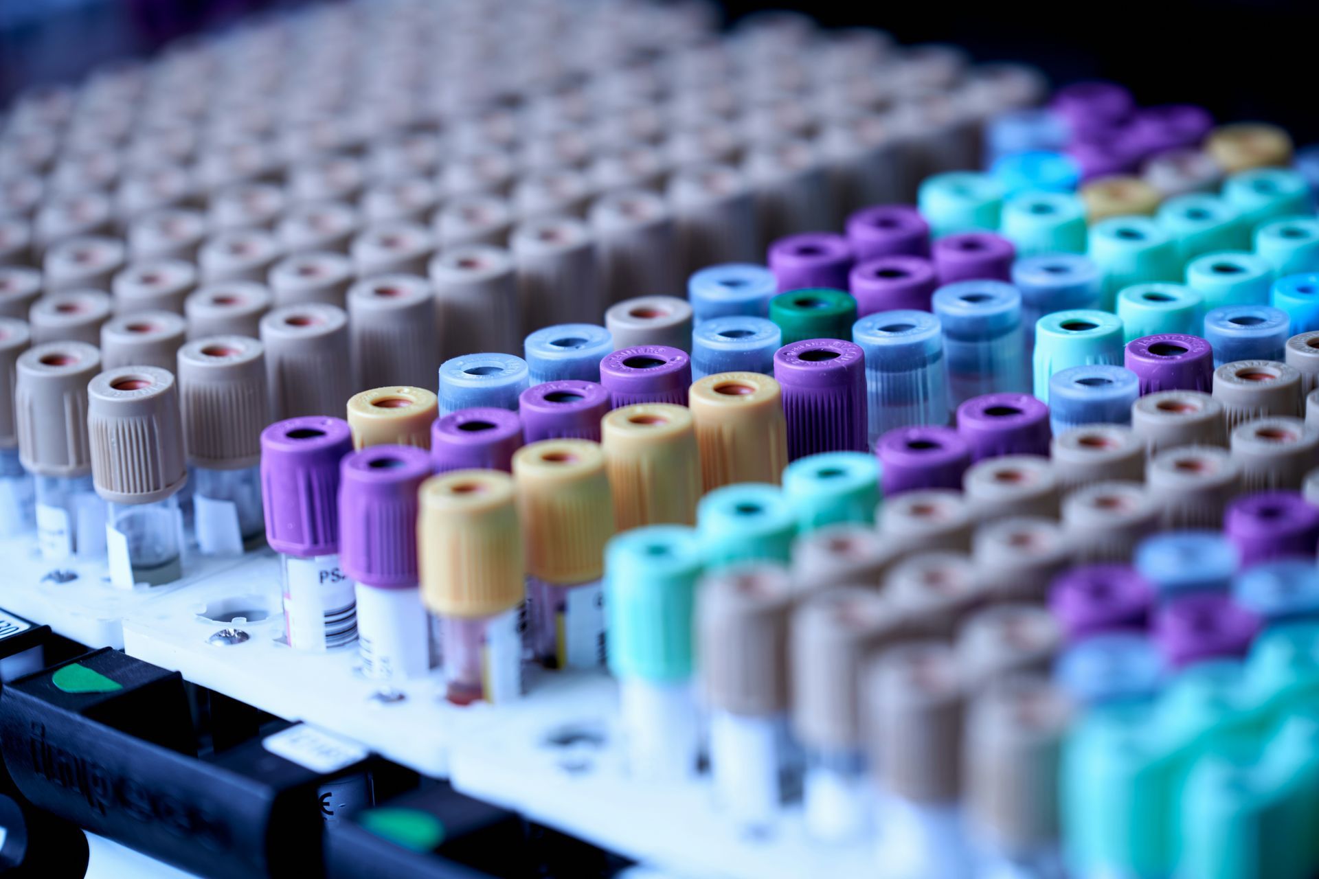 Closeup aerial view of test tubes in a tray. Caps are gray, purple, blue, and yellow.