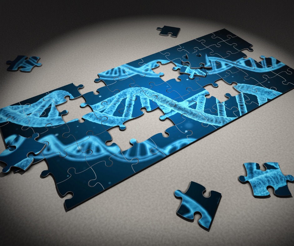 Almost complete [puzzle of DNA