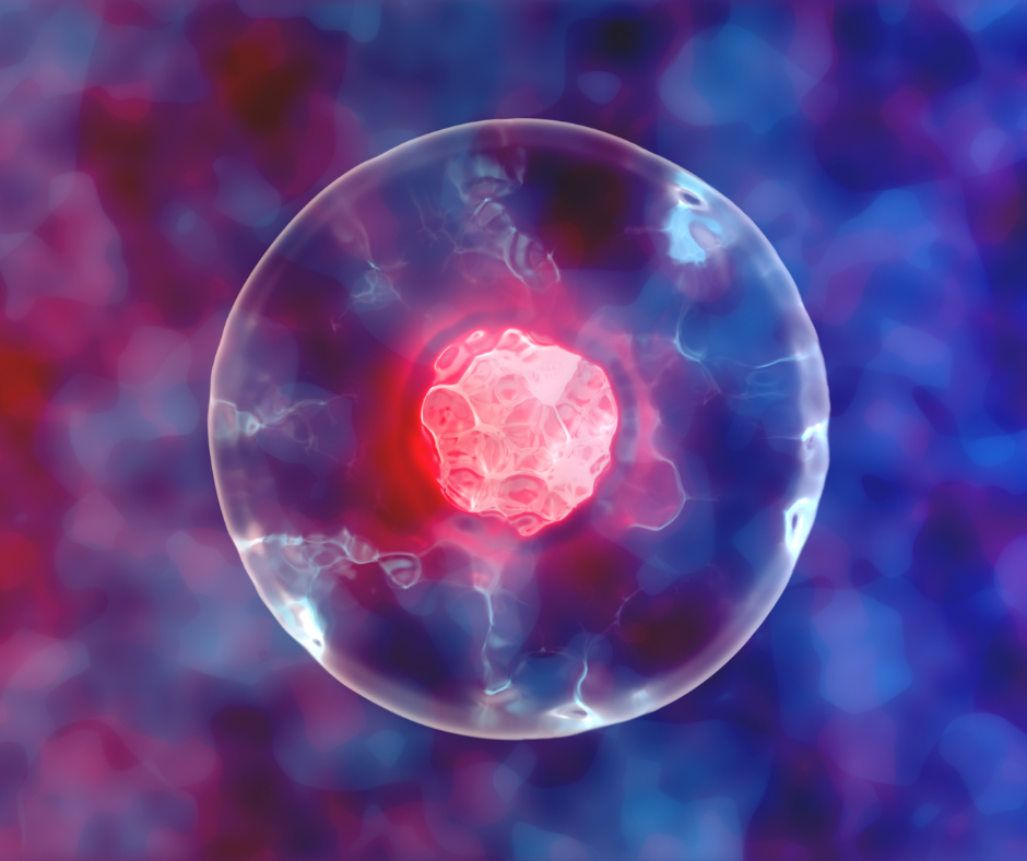 Picture of a cell with a target on it