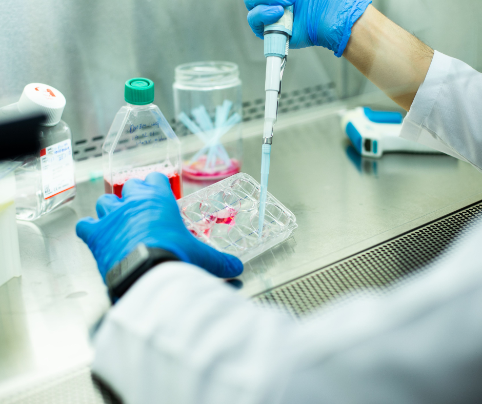 Scientist performing a laboratory test