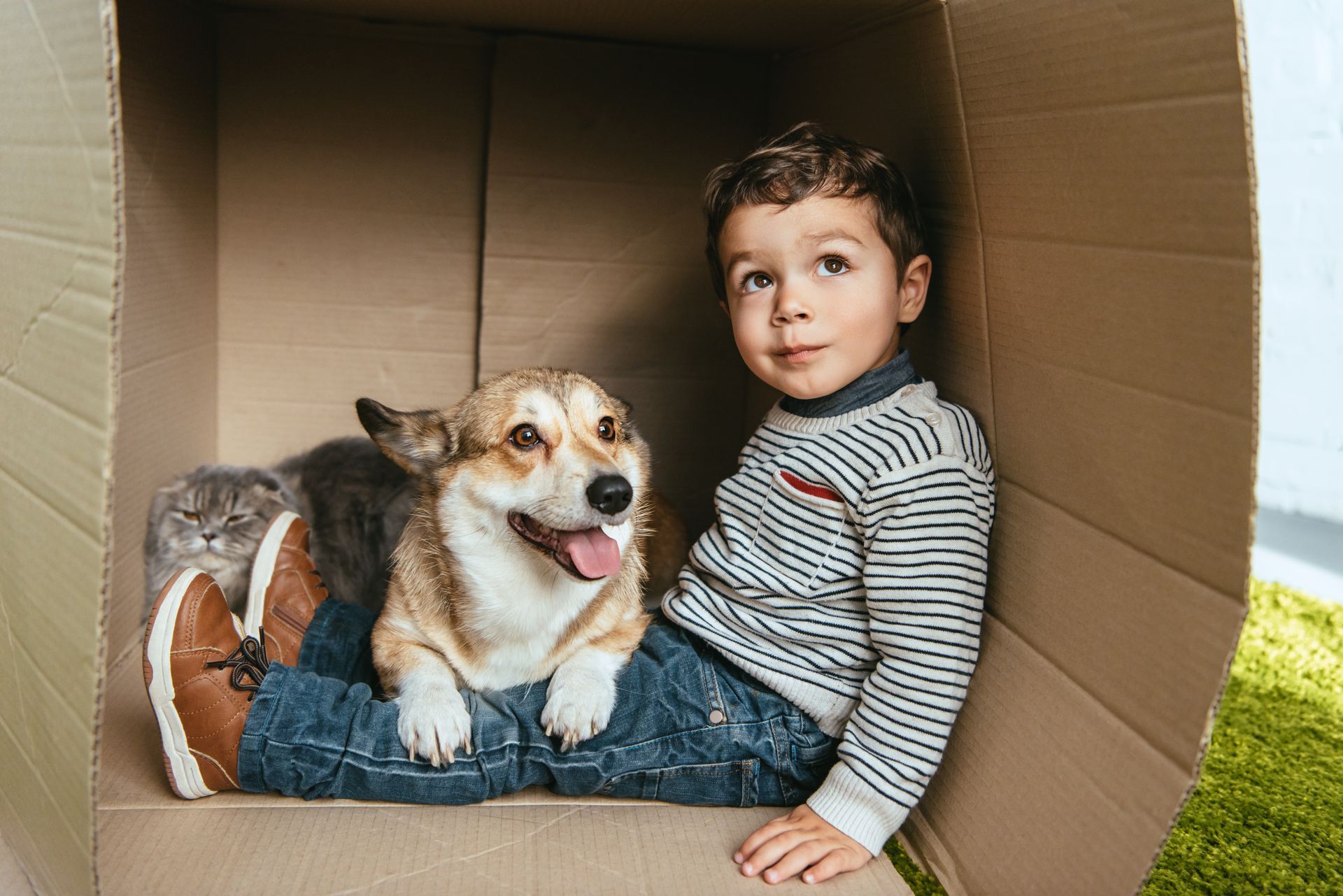 Kid sitting with his dog