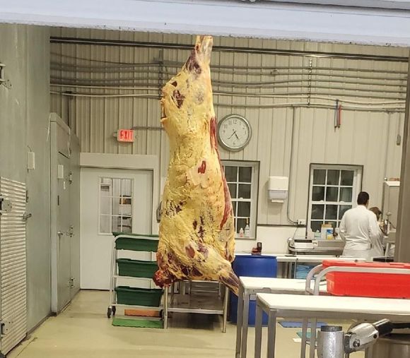 A large piece of meat is hanging from the ceiling in a butcher shop.
