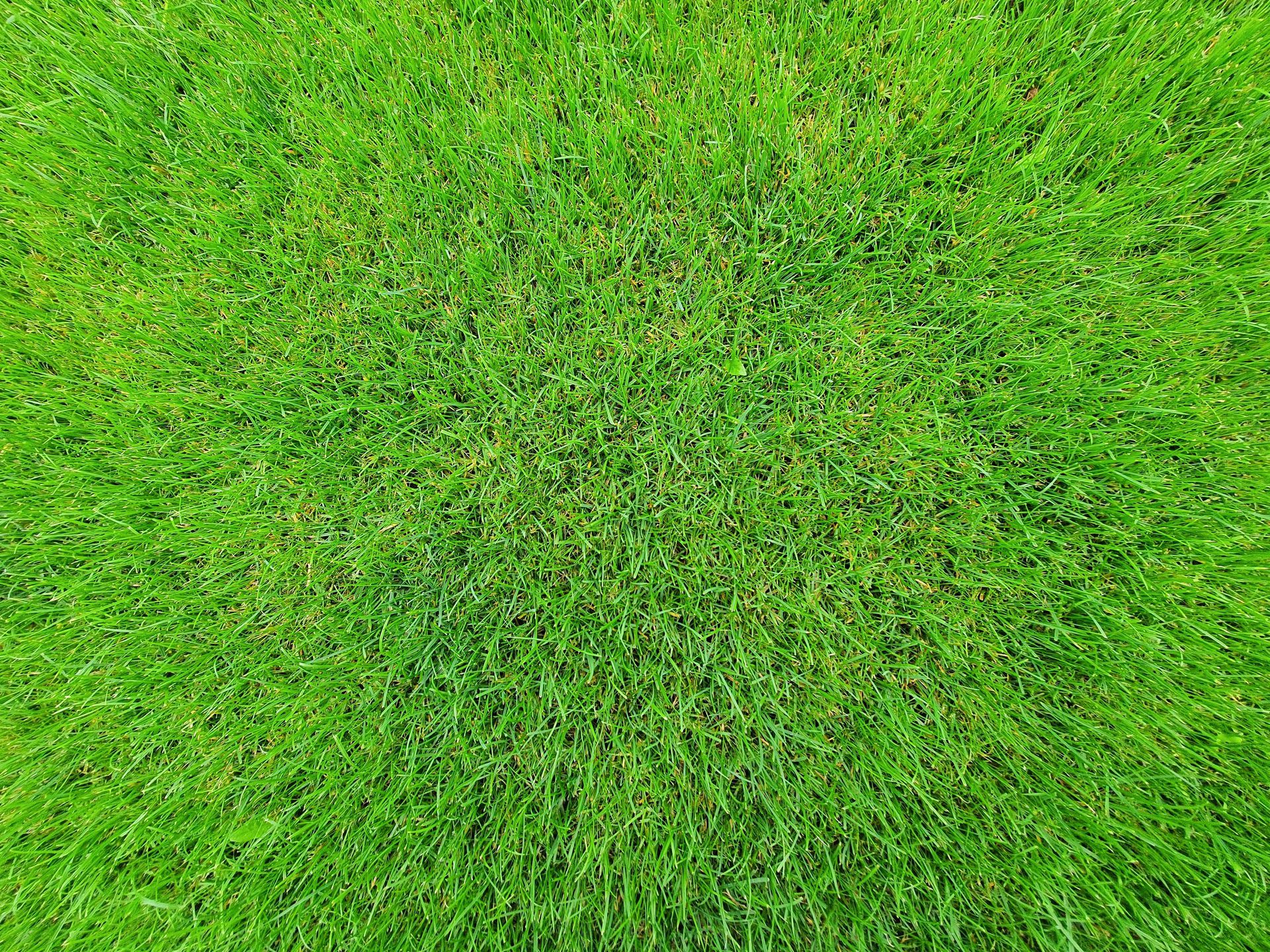 sod and irrigation systems