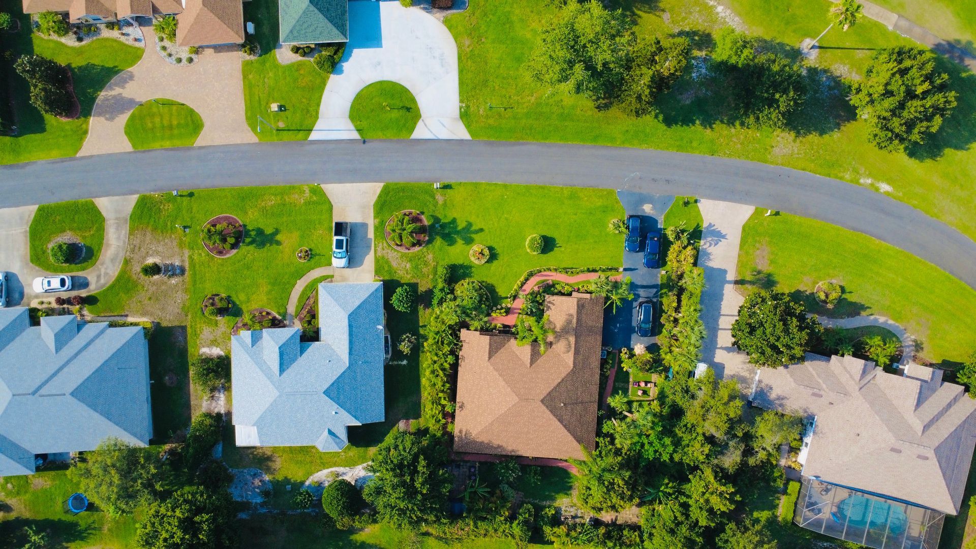 tree landscape design Sarasota FL