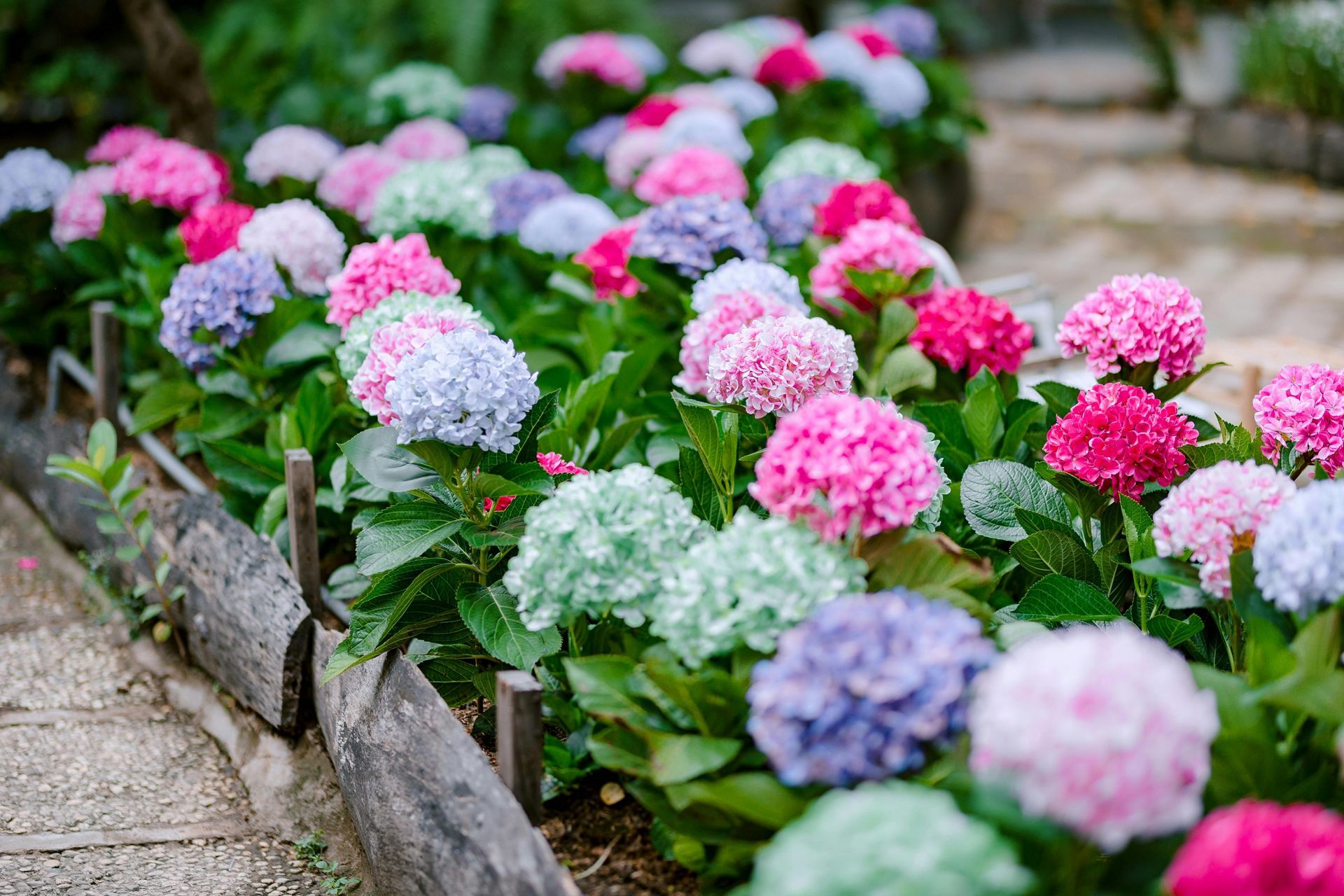 clean flower beds service Sarasota, FL