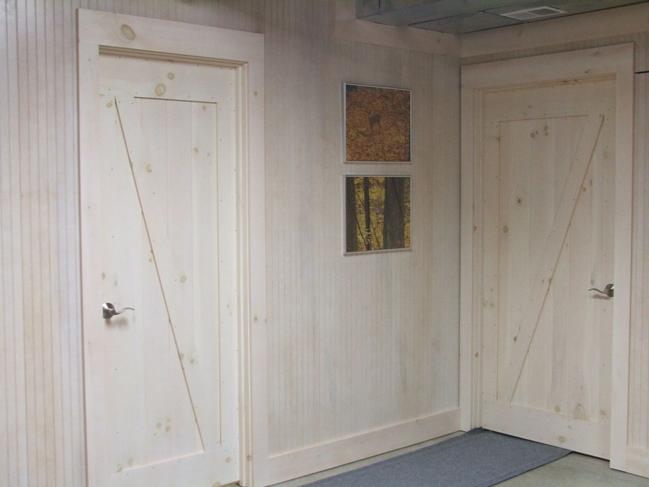 Bright hallway with two white doors and a blue floor mat, with wall art between the doors.