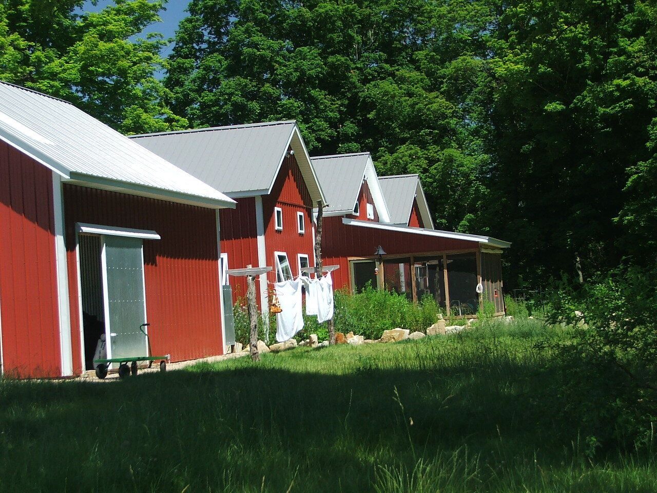Red barns with white trim beside a grassy field at the edge of a wooded area.