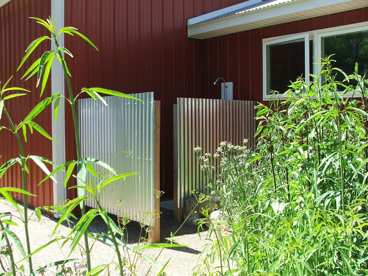 Sunny garden with tall green plants and a red house wall behind a metal fence.