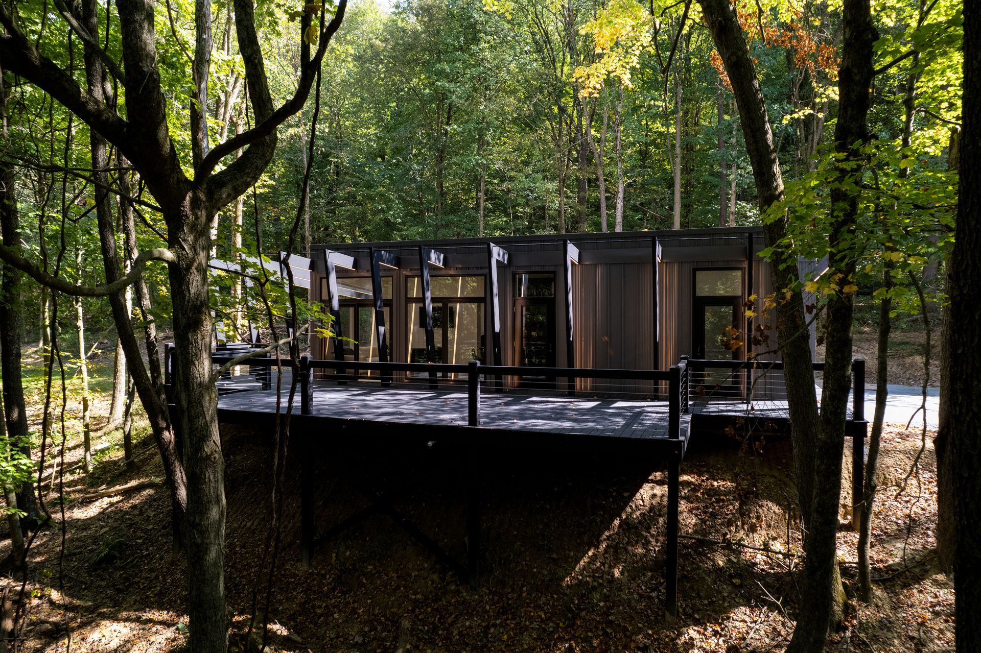 Modern custom home on stilts in a wooded forest, with sunlight filtering through trees.