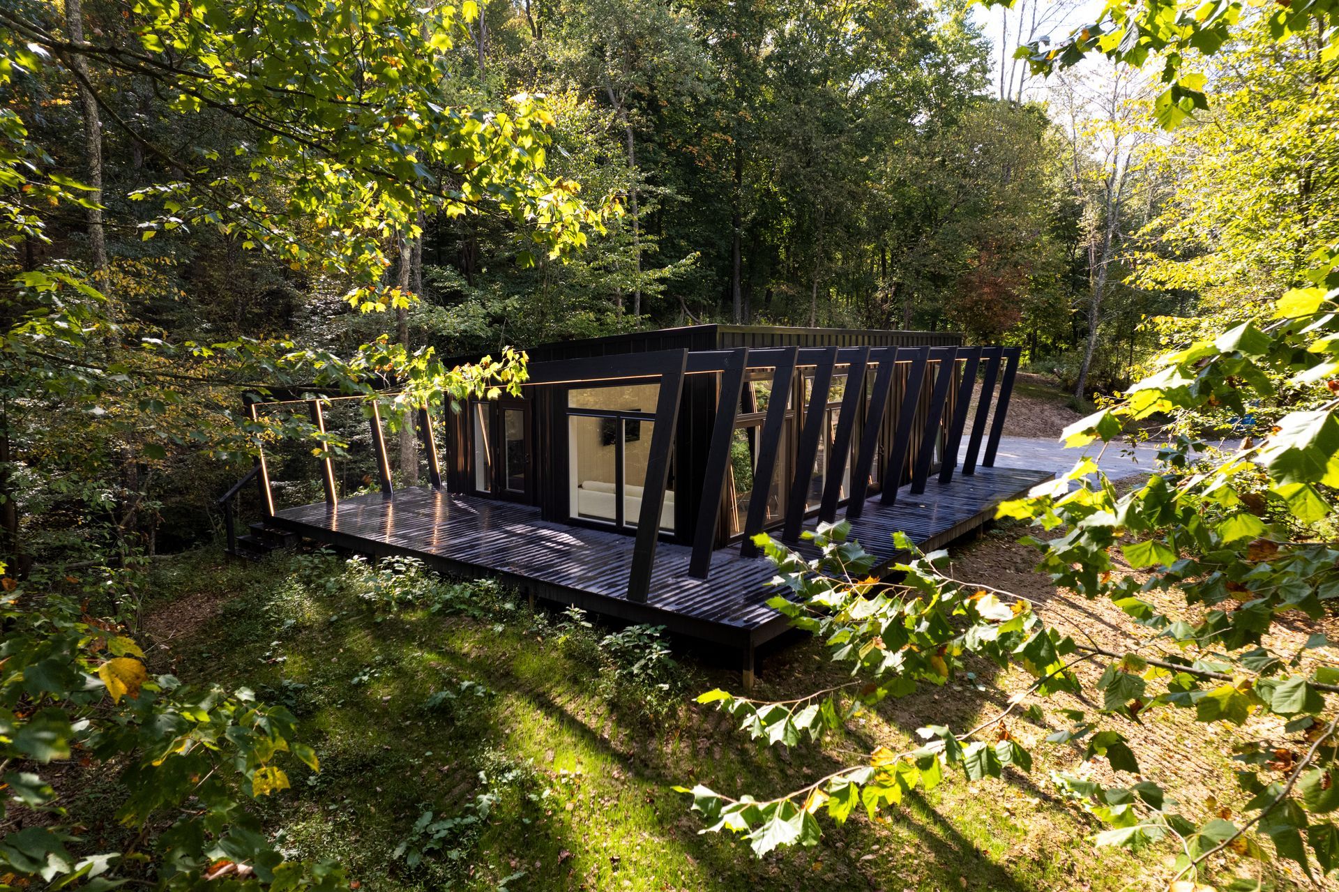 Wooden footbridge with black railings over a small creek in a sunlit forest