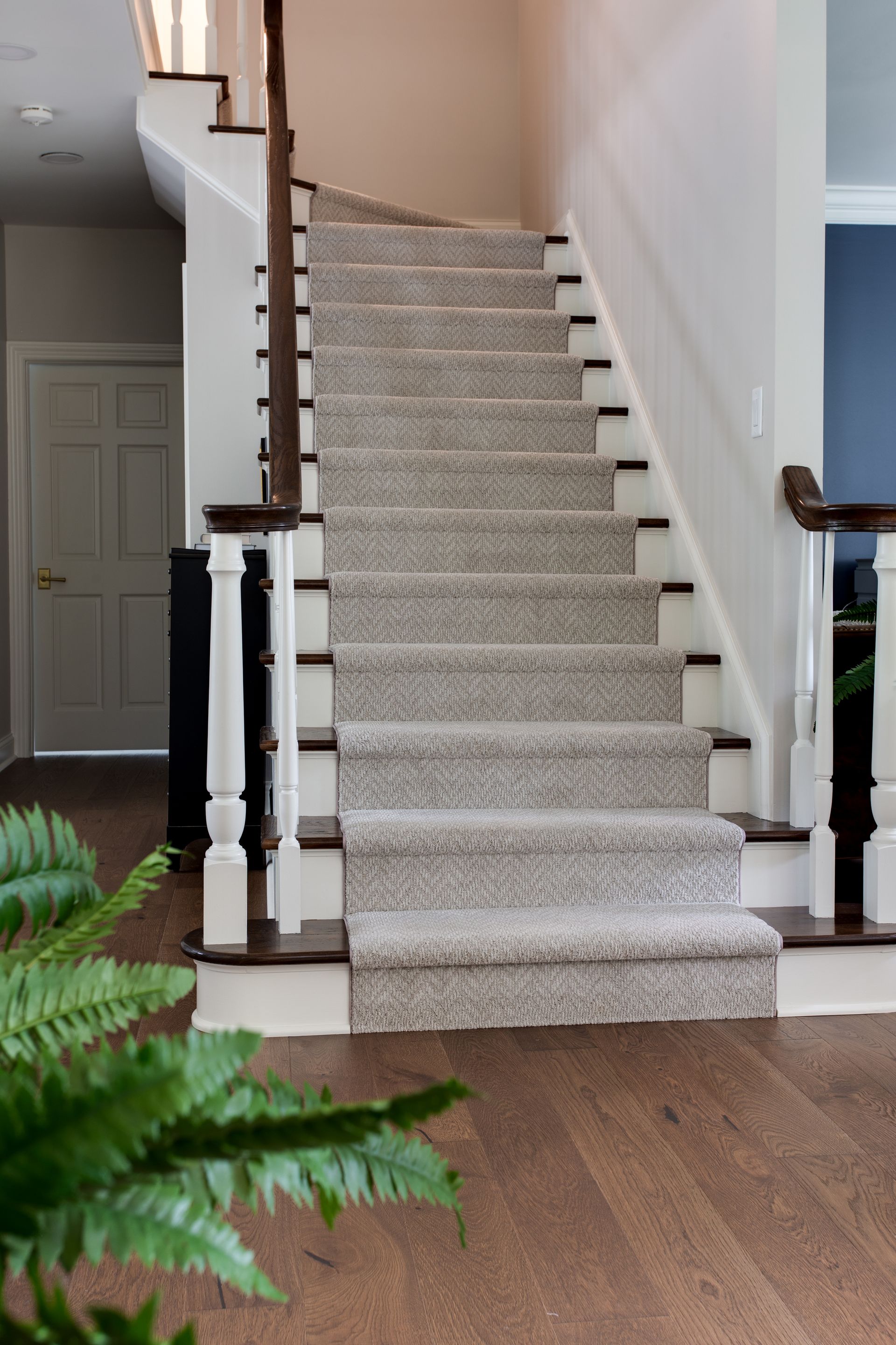 A staircase with a carpeted staircase leading up to the second floor of a house.