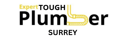 Expert Tough Plumber Surrey logo