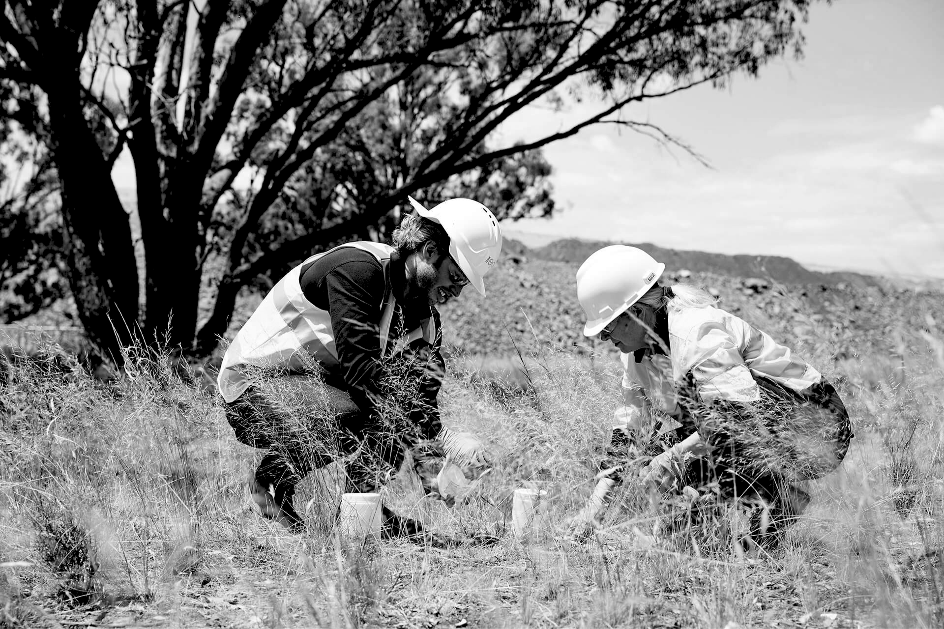 Two workers in hard hats crouch in tall grass outdoors near a tree and hillside.
