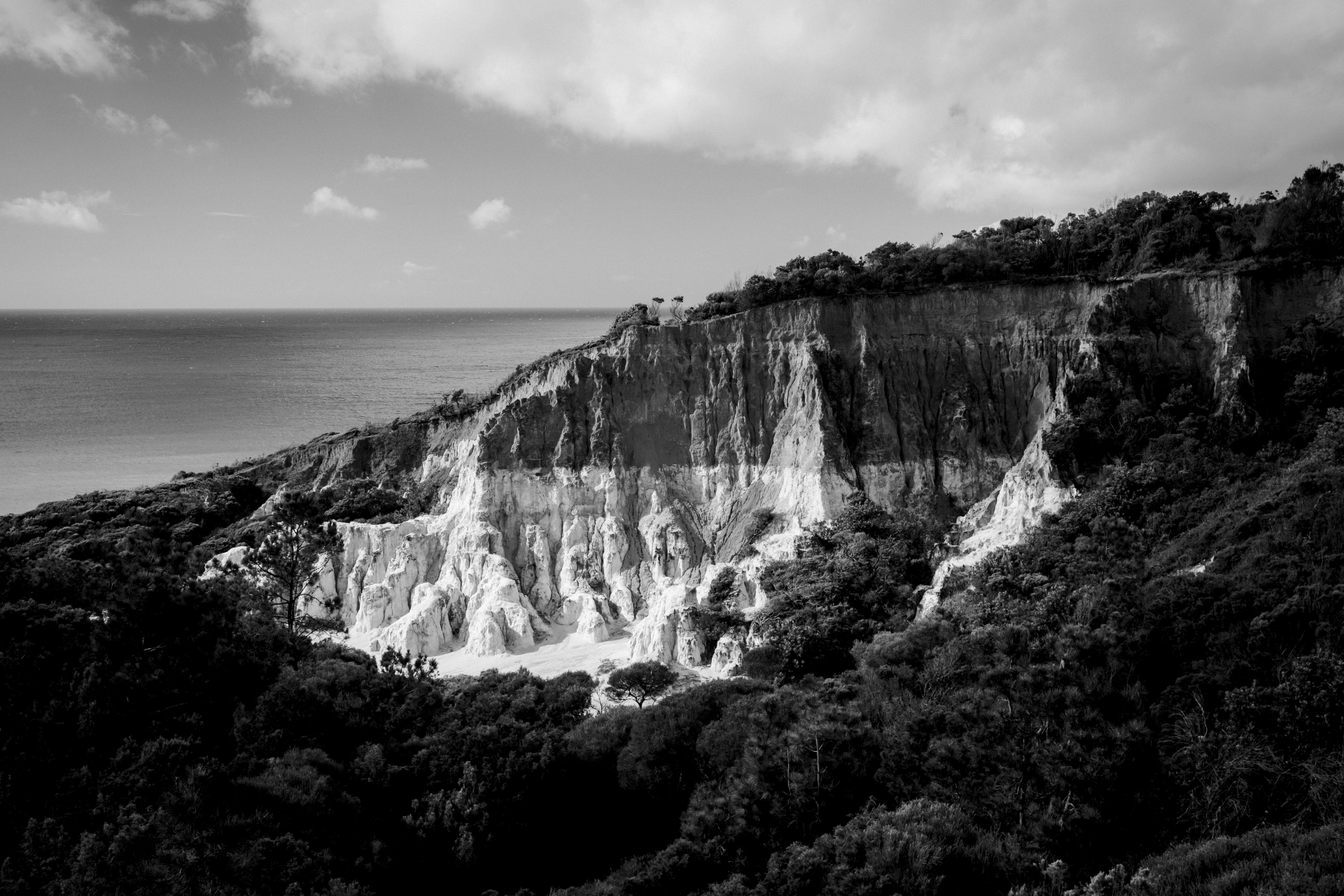 Black-and-white view of a waterfall cascading down a cliff into dense forest by the sea
