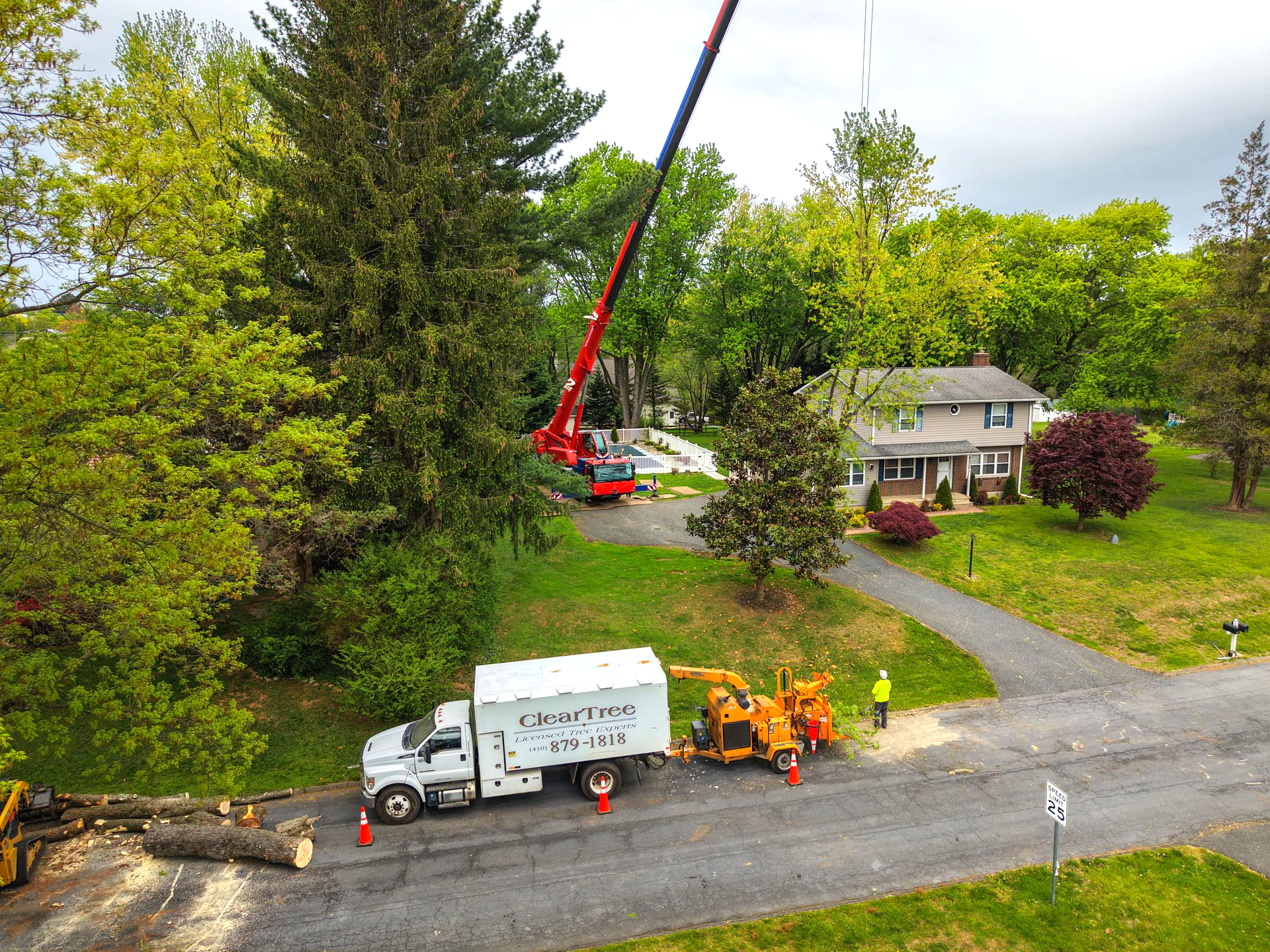 ClearTree crew removing a large tree from a residential property using a crane and wood chipper.