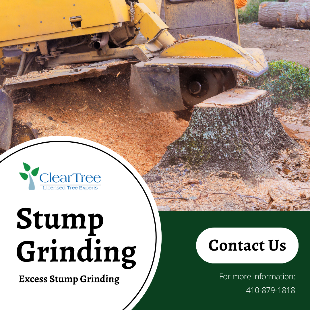 A machine grinds a tree stump into wood chips, with ClearTree branding and contact information overlaid.