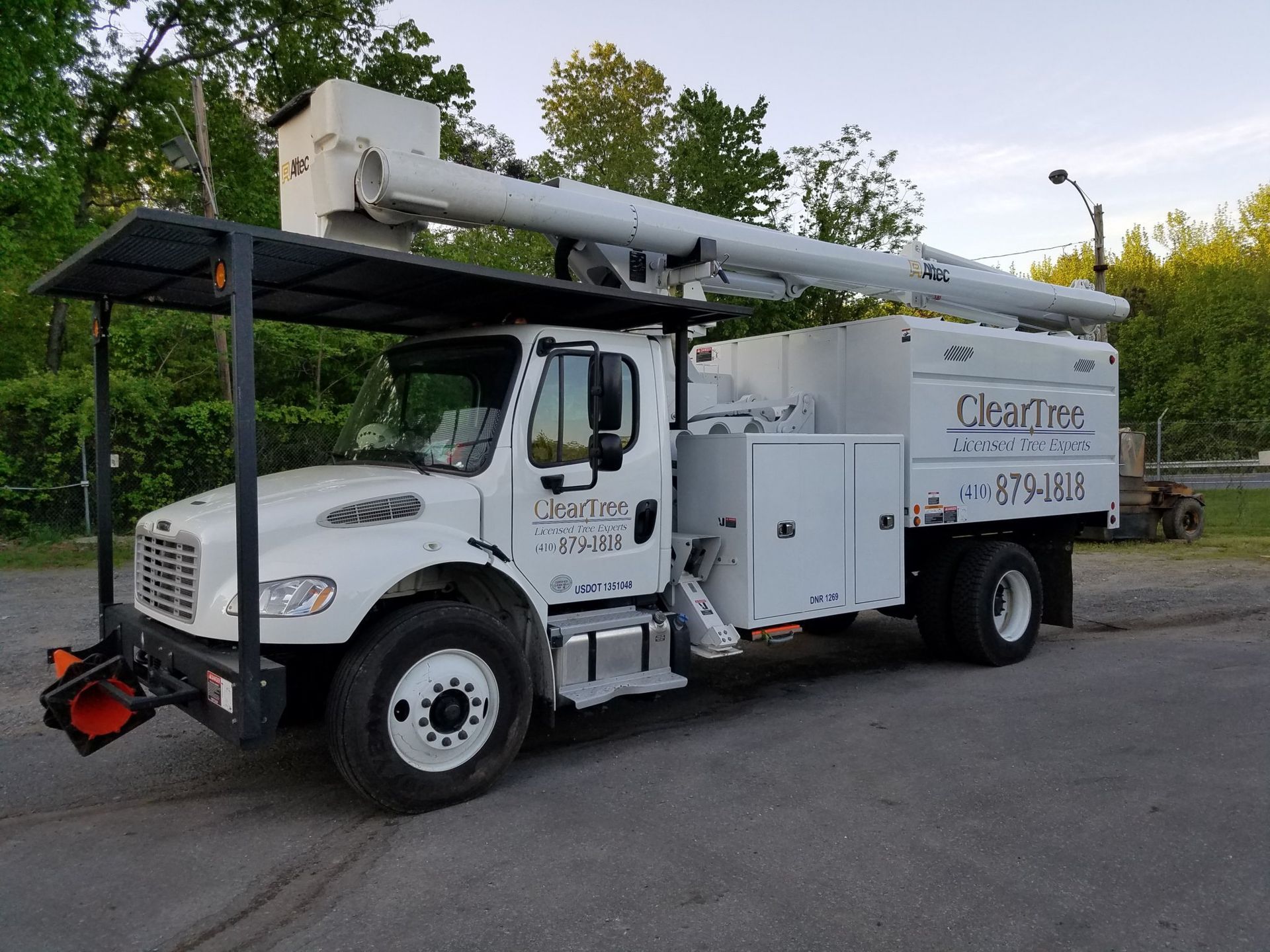 Meet ClearTree: Maryland’s Trusted Tree Experts