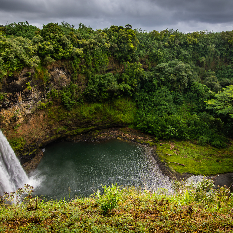 A vibrant rainbow stretches across a moody, dark sky over a tropical landscape with palm and pine trees.
