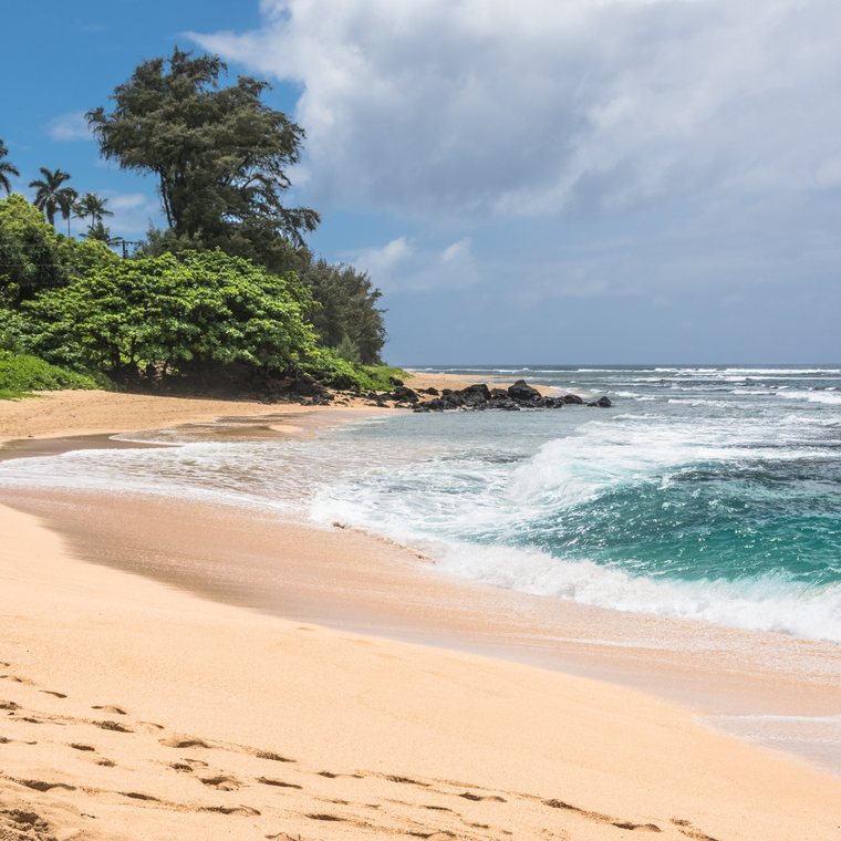 A sandy beach meets turquoise ocean waves beneath a blue sky with lush green trees lining the shore.