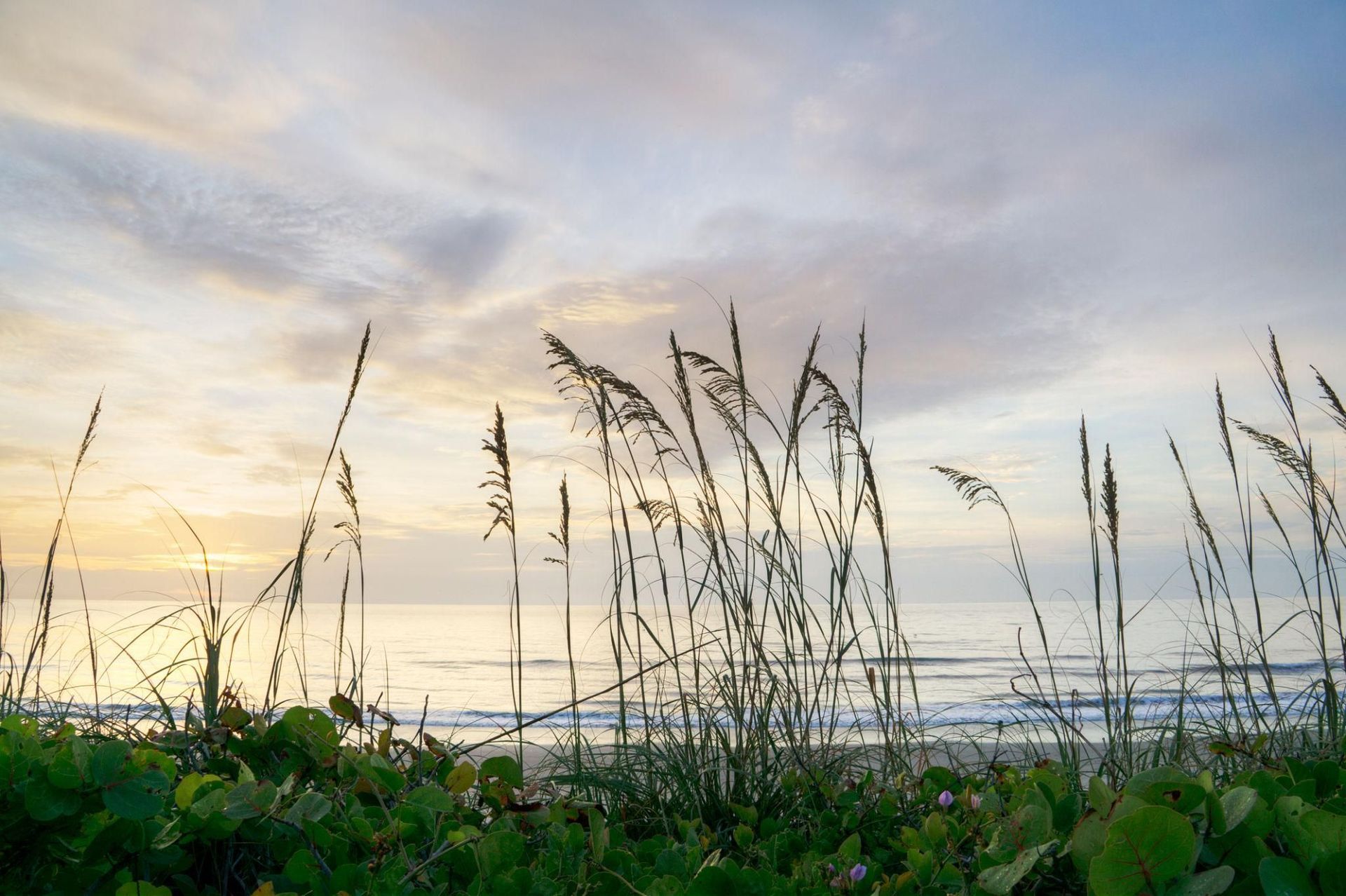Juno Beach