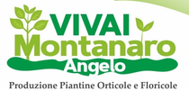 LOGO VIVAI MONTANARO ANGELO