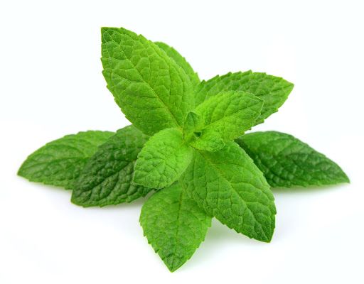 Menta
