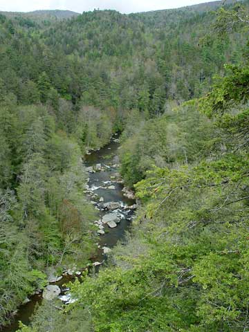 The Catawba Riverkeeper