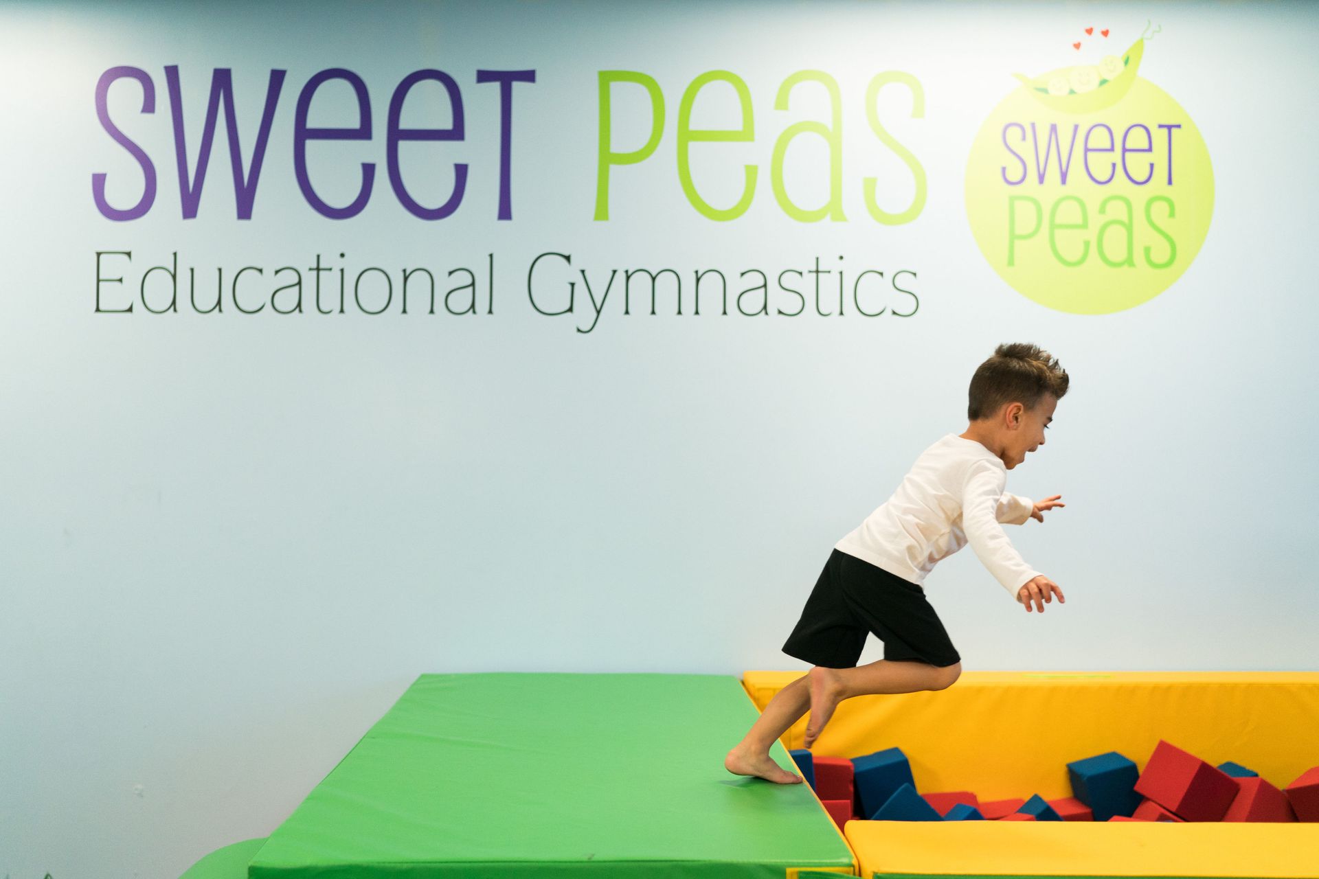 West Side Gymnastics logo
