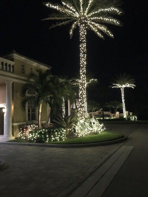 christmas lights on a house