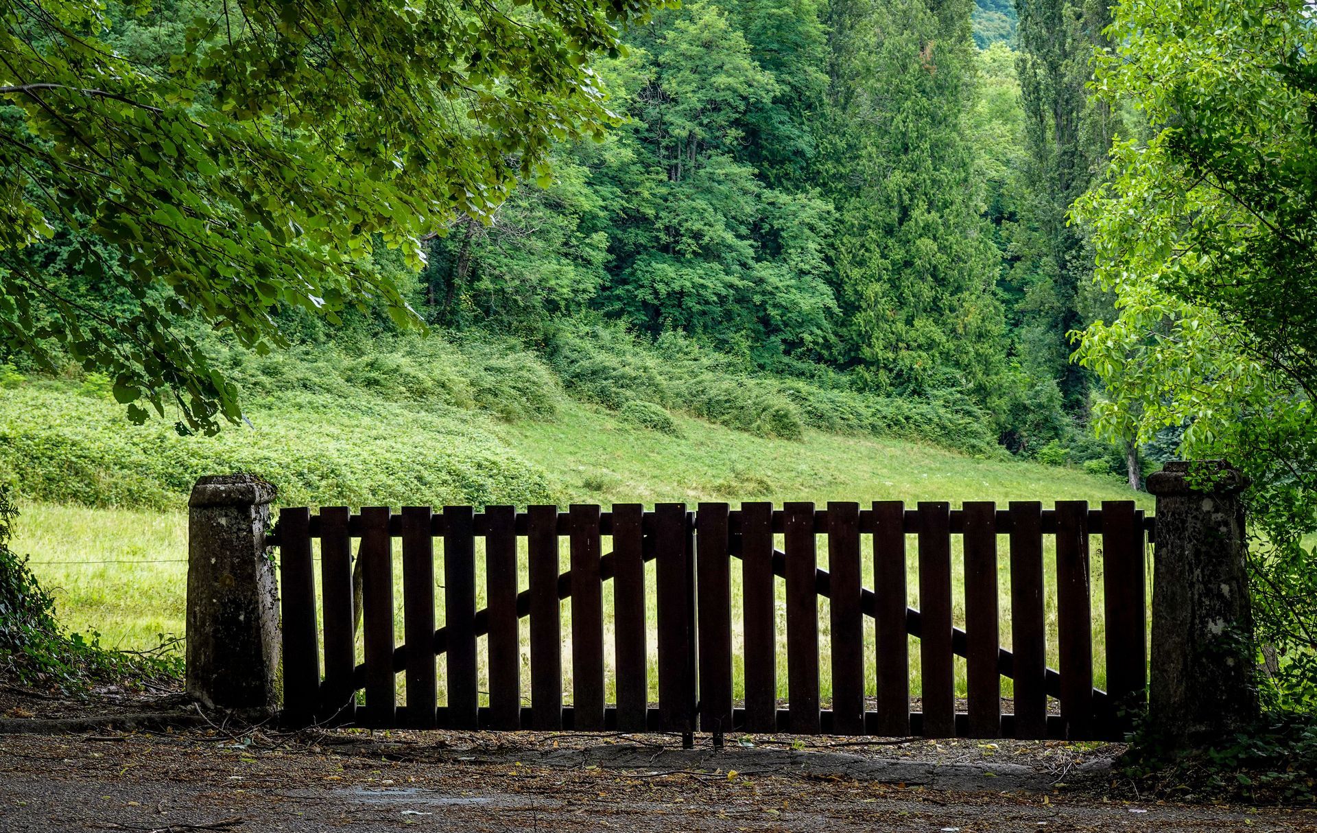 Wooden gate between stone posts in a lush green forest clearing