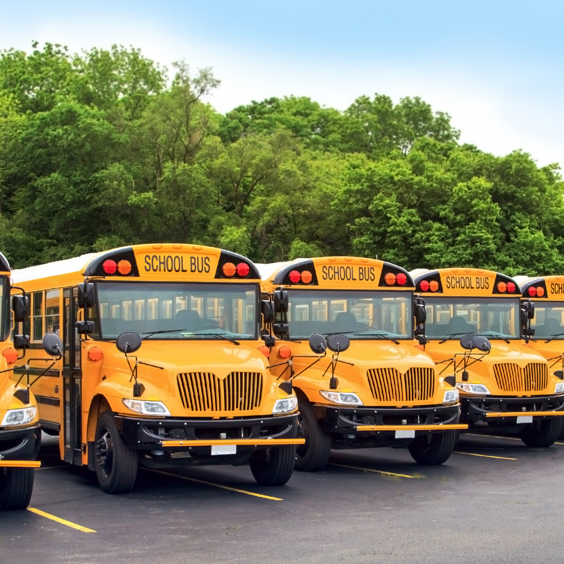 School buses lined up outside a Kentucky public school building.