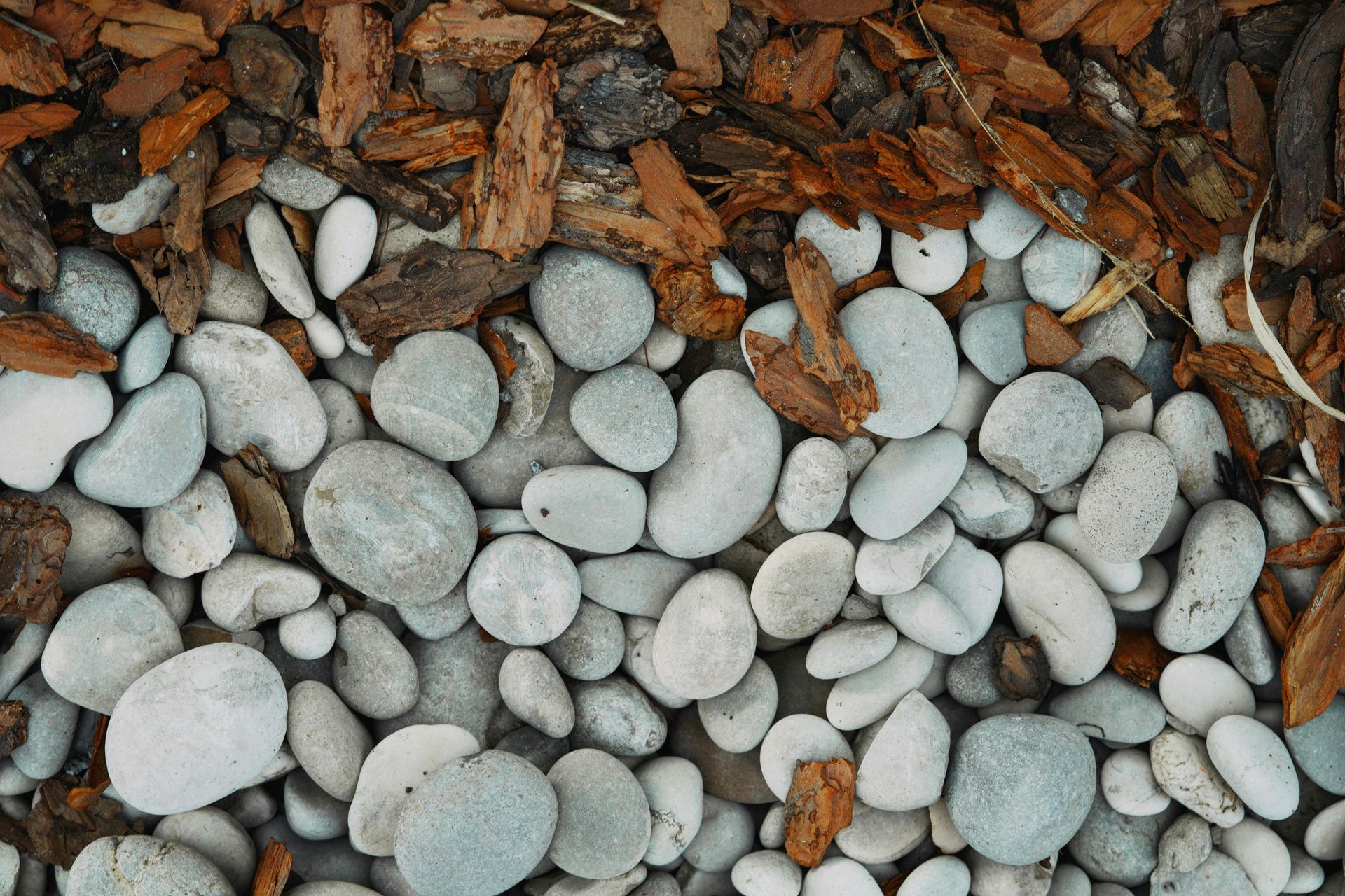 White pebbles scattered among brown wood chips on the ground