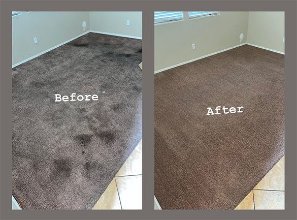 Carpeted room shown before and after cleaning, with stained carpet replaced by clean brown carpet.