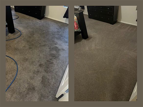 Carpeted floor shown before-and-after cleaning, with darker stained area on the left and cleaner brown carpet on the right