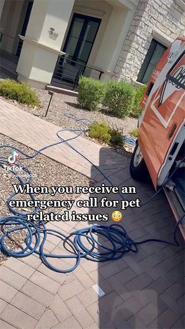 Orange utility van parked by a building; blue hose or cable tangled on the driveway.