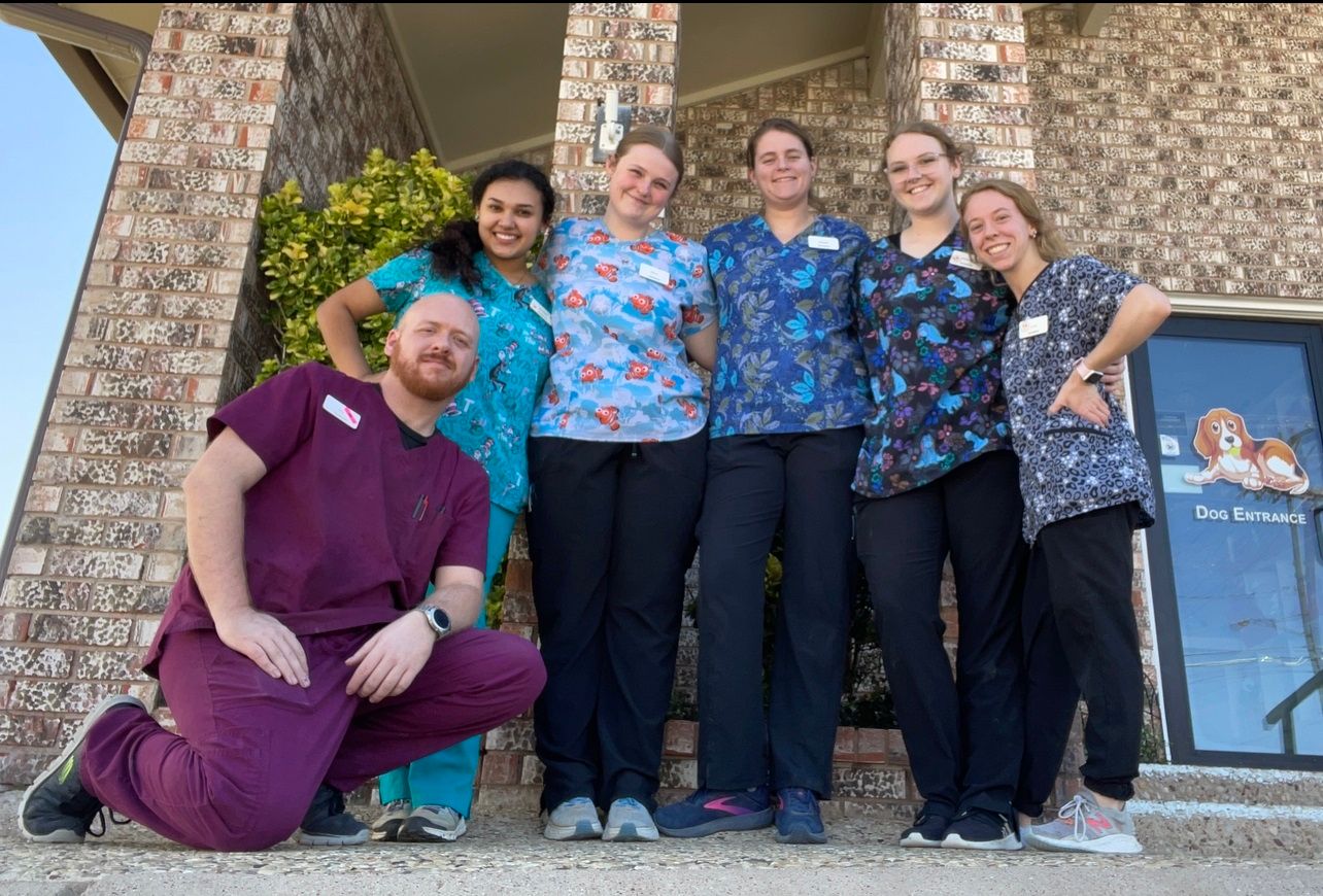 About Us Knickerbocker Road Animal Hospital San Angelo, TX