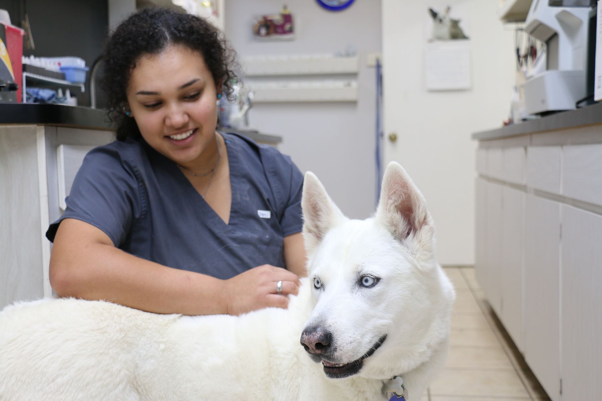 Veterinary Hospital San Angelo, TX