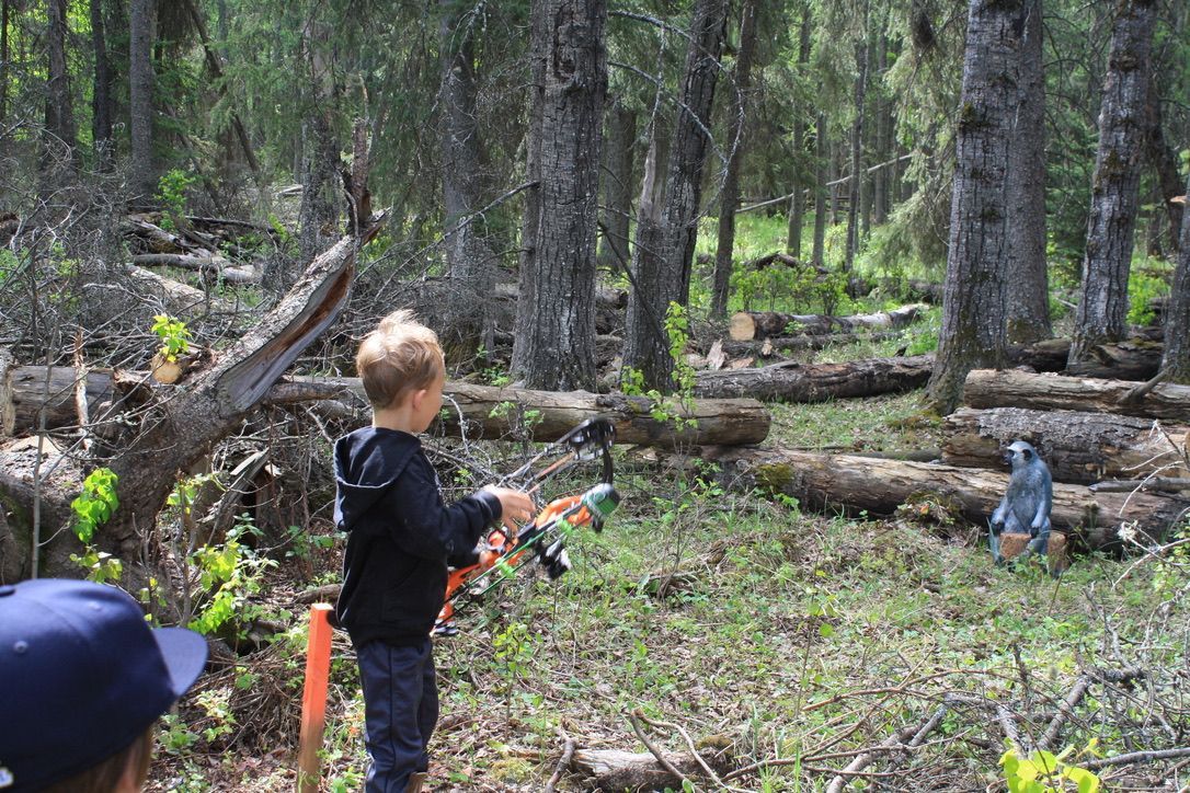 Archer shooting arrow at target