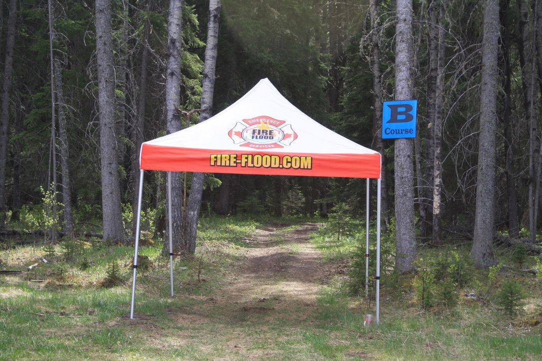 A canopy in the middle of a forest says table-floor.com