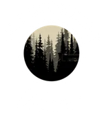 Glastonbury Woods Apartments Logo