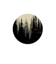 Glastonbury Woods Apartments Logo
