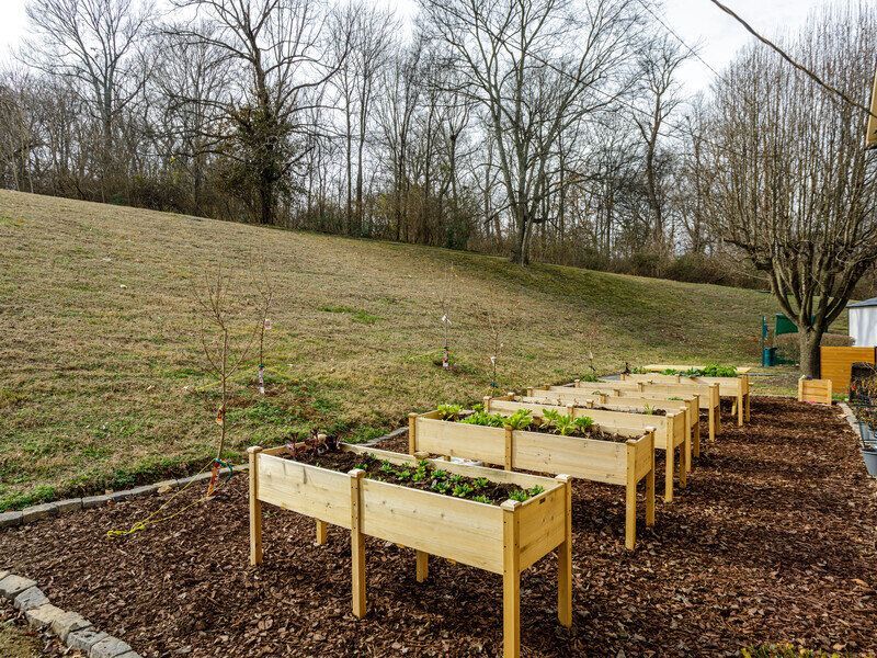 Garden beds with plants at Glastonbury Woods Apartments in a mulched area, with a grassy hillside.