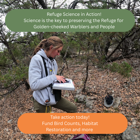 Bird Point Count Technician in the Field