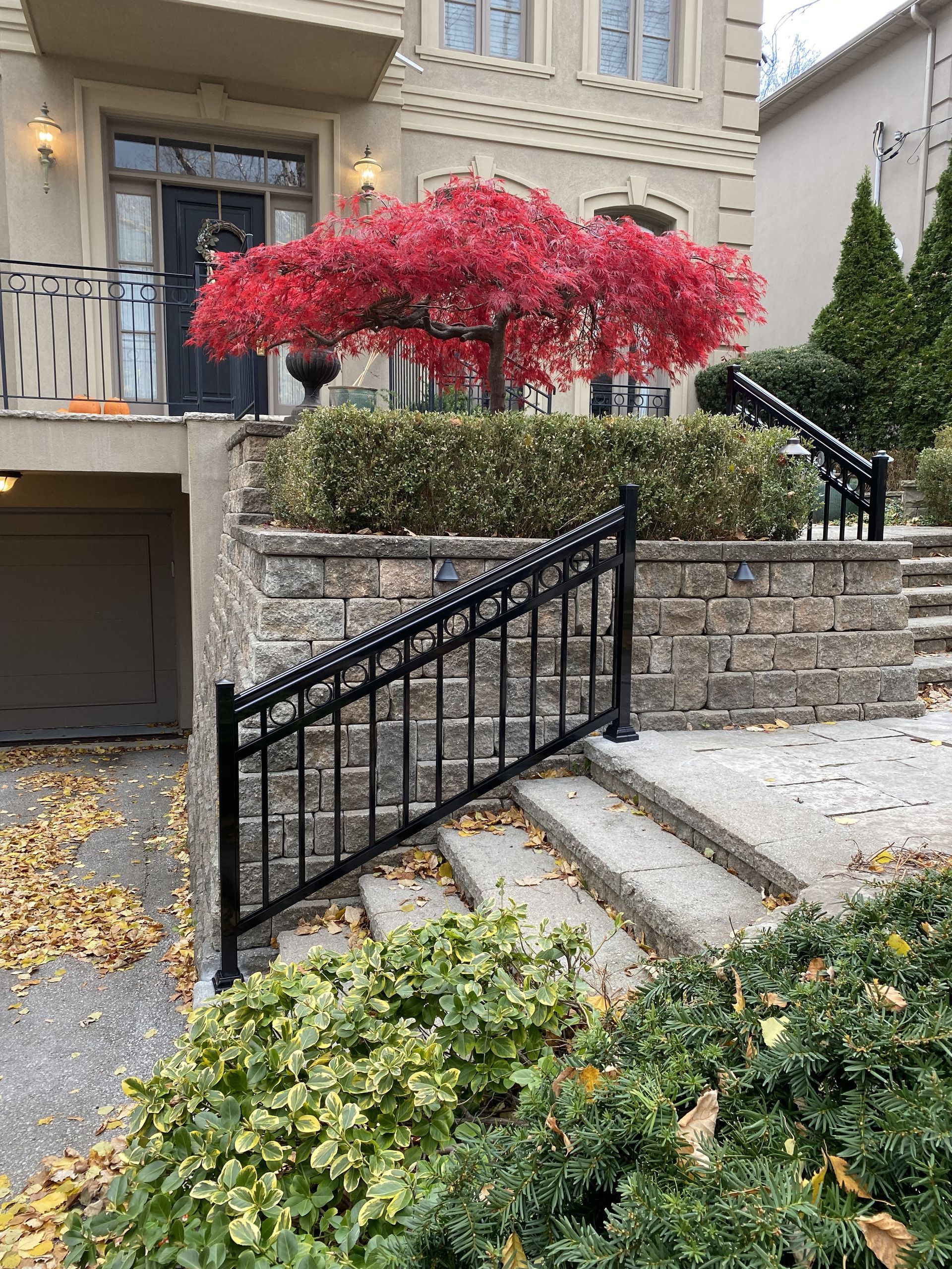 A tree with red leaves is in front of a house with stairs leading up to it.